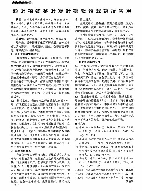彩叶植物金叶复叶槭繁殖栽培及应用