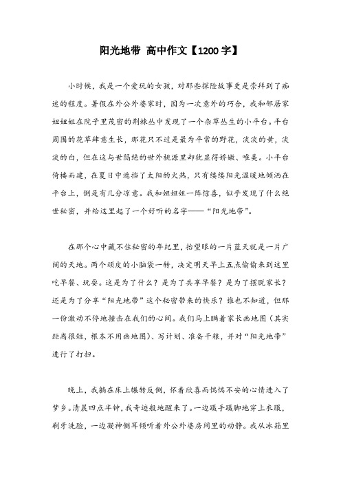 阳光地带 高中作文【1200字】