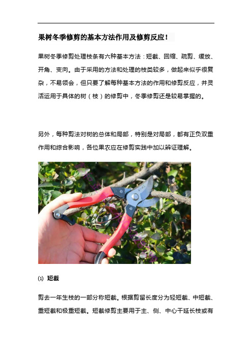 果树冬季修剪的基本方法作用及修剪反应