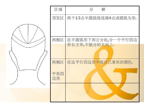 烫发排杠设计