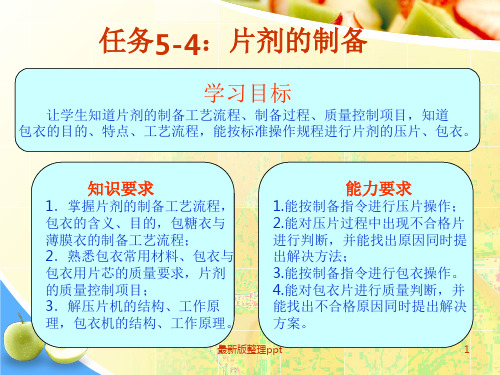 片剂的制备ppt课件
