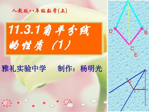 11.3.1角平分线的性质1(杨明光)