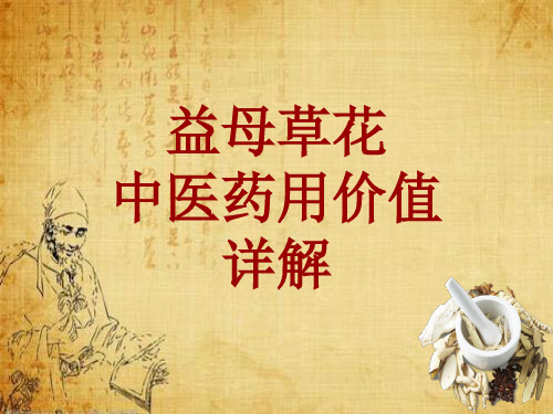 中药学_益母草花_药材详解课件模板