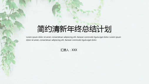 简约清新年终总结计划PPT模板
