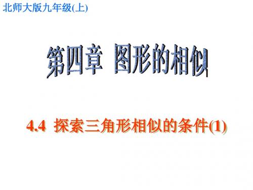 北师大新版九年级上数学 课件：4.4 探索三角形相似的