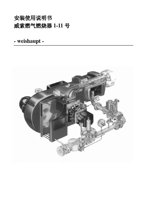 威索燃烧器G1-11说明书