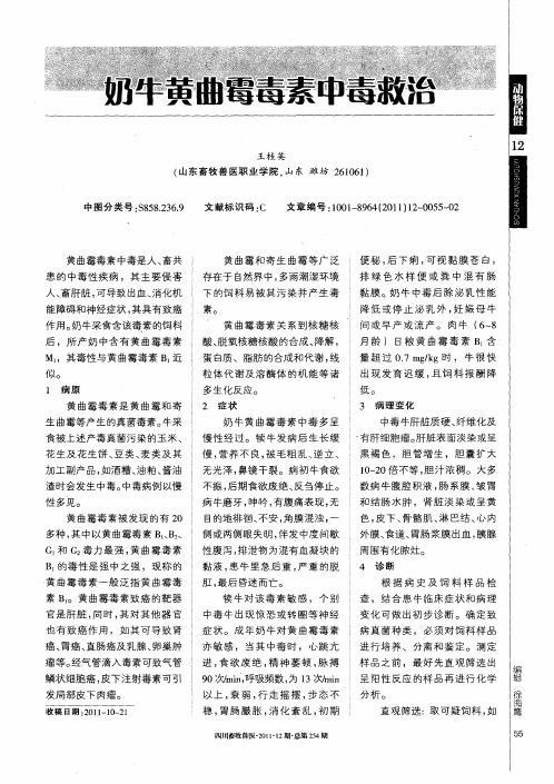 奶牛黄曲霉毒素中毒救治