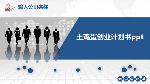 土鸡蛋创业计划书ppt