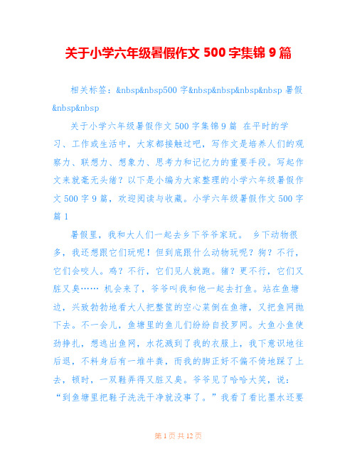 关于小学六年级暑假作文500字集锦9篇