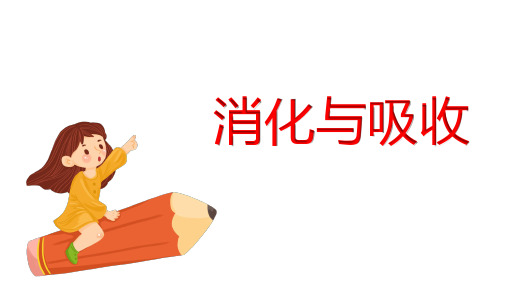 六年级科学下册课件-5消化与吸收51-冀人版  (共16张ppt)