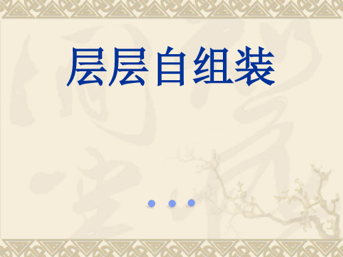 层层自组装