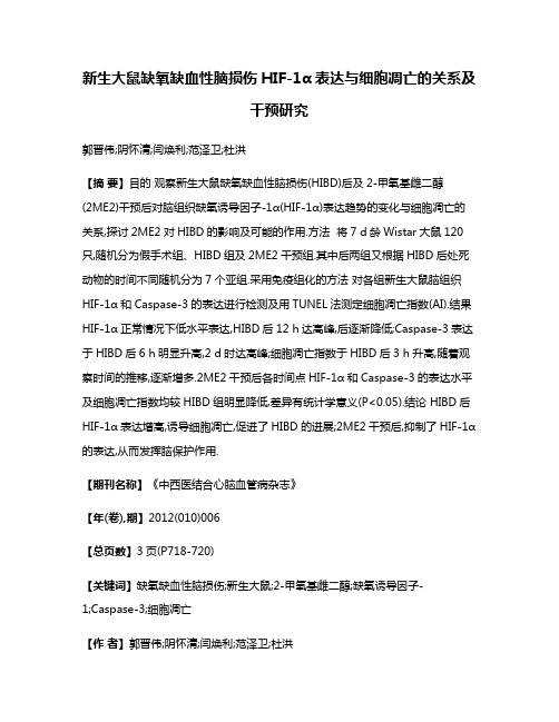 新生大鼠缺氧缺血性脑损伤HIF-1α表达与细胞凋亡的关系及干预研究