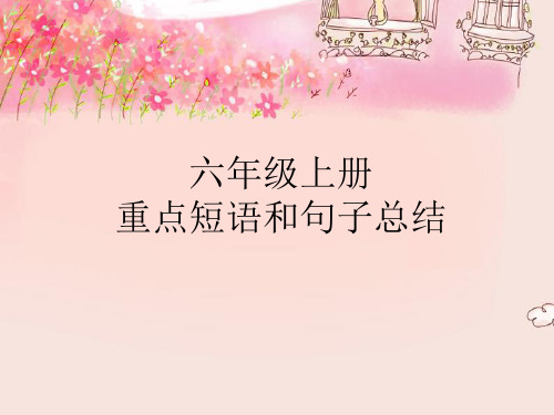 六年级上册重点短语和句子总结