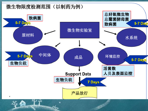 2015版中国药典微生物限度解析