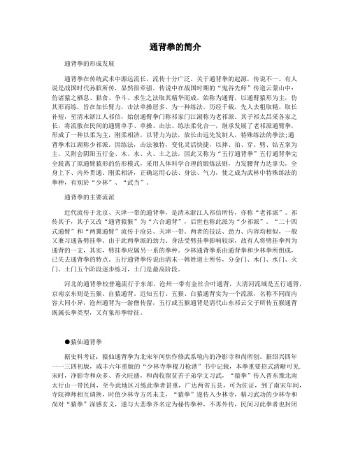 通背拳的简介
