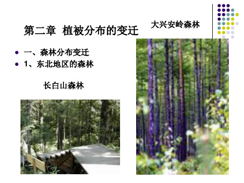 第二章中国植被的变迁