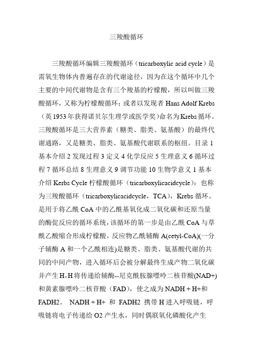 三羧酸循环