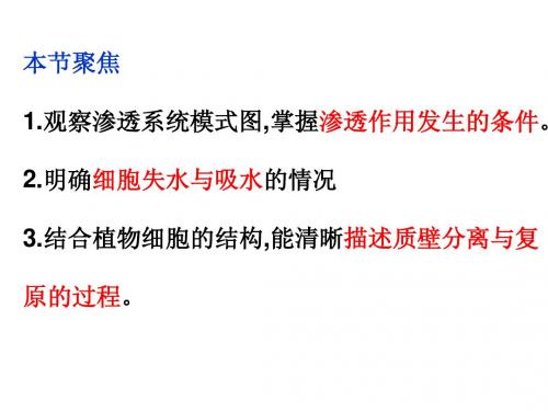 物质跨膜运输习题