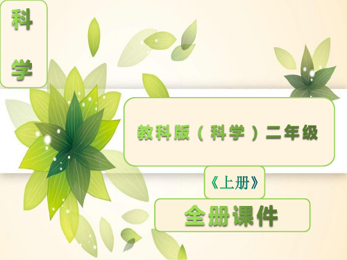 教科版小学二年级科学上册全册课件