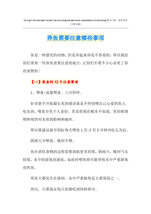 养鱼需要注意哪些事项