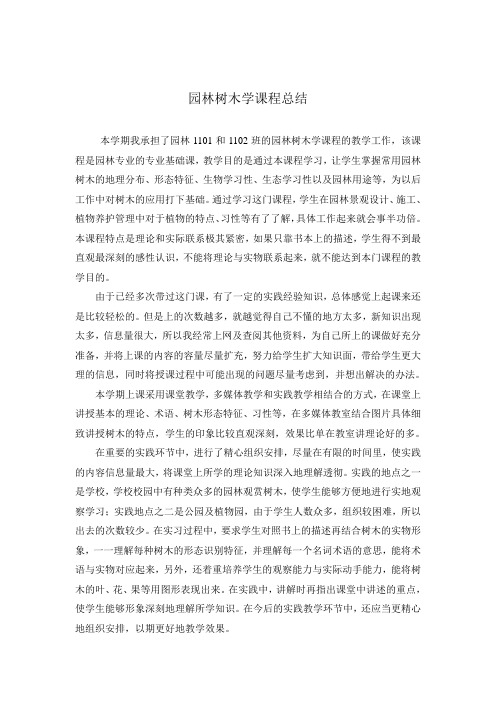 本科园林树木总结
