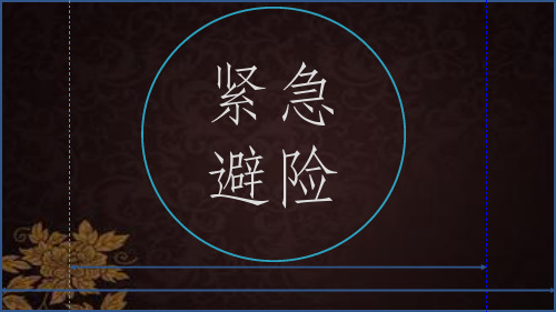 紧急避险 PPT