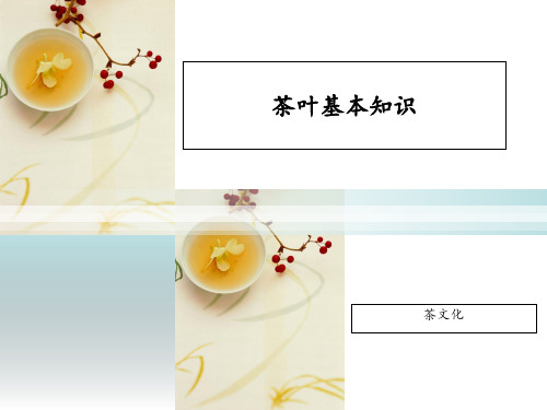 茶叶基本知识 ppt课件