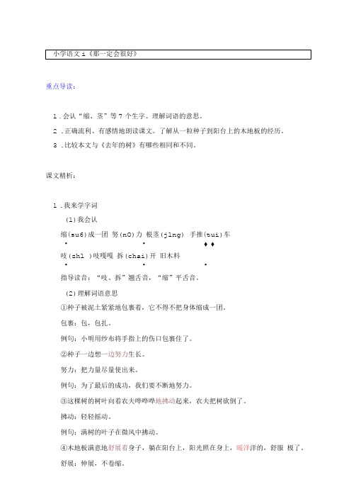语文三年级上册知识讲义(附同步练习)9《那一定会很好》-部编版
