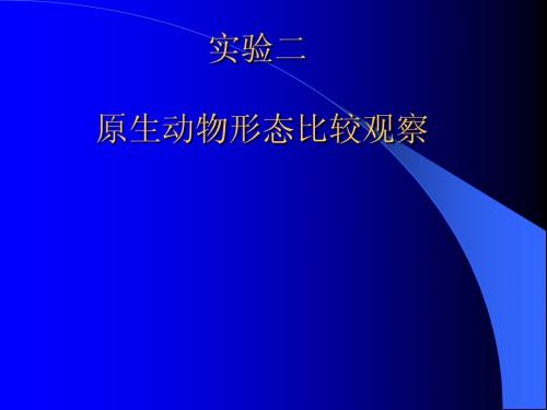 实验二、原生动物