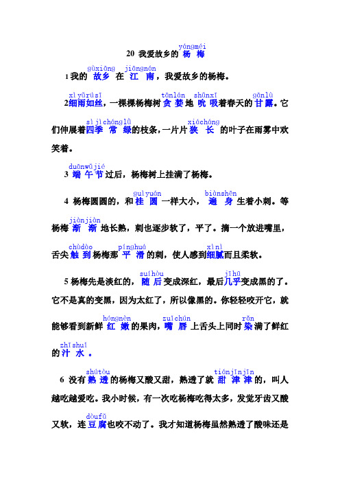我爱故乡的杨梅(1)