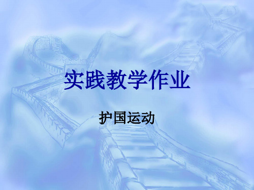 护国战争——作业