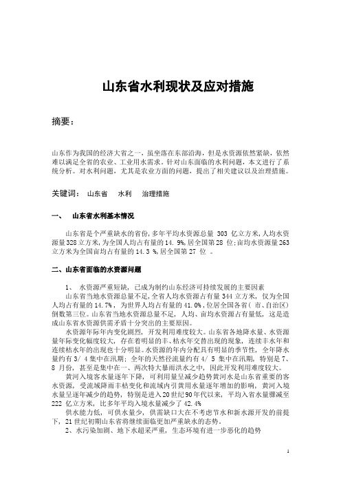 山东水利治理措施