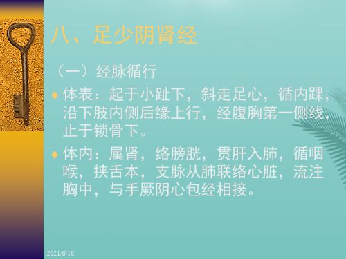 针灸学足三阴经足少阴肾经.优秀精选PPT