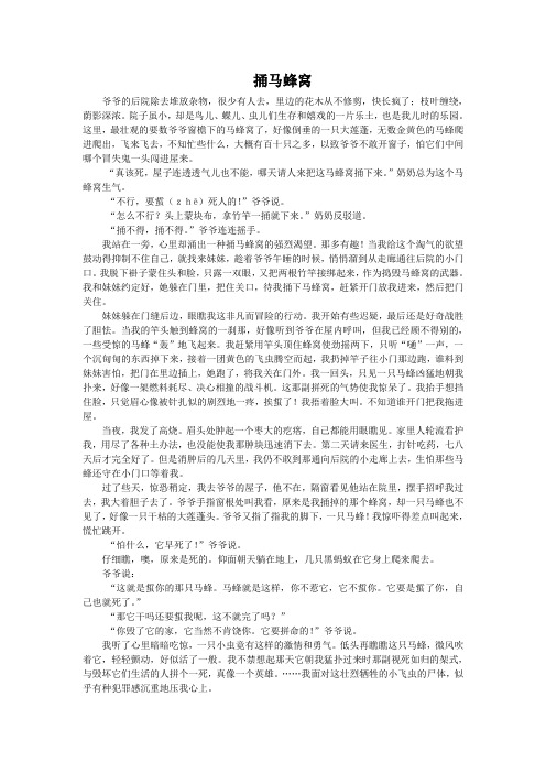 捅马蜂窝九年级汉语