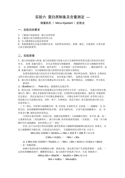 蛋白质制备及含量测定(凯氏定氮法)