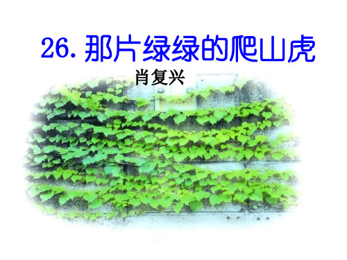 四年级上册语文课件-26 那片绿绿的爬山虎 人教新课标(共33张PPT)