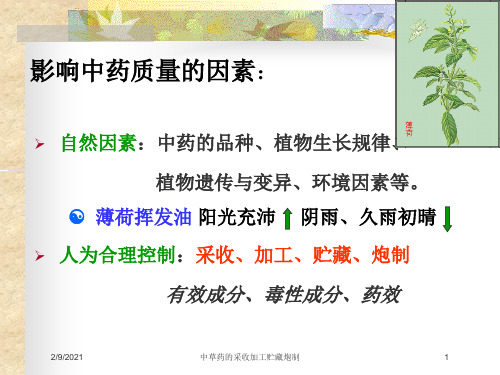 中草药的采收加工贮藏炮制课件