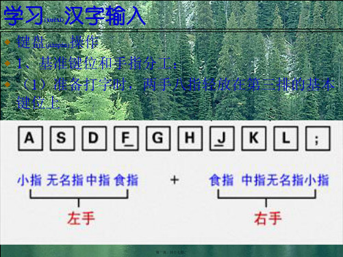 七年级信息技术上册《学习汉字输入》课件