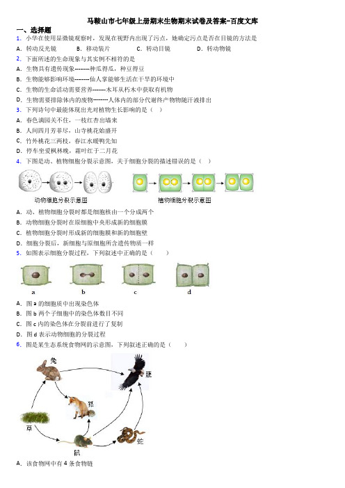 马鞍山市七年级上册期末生物期末试卷及答案-百度文库