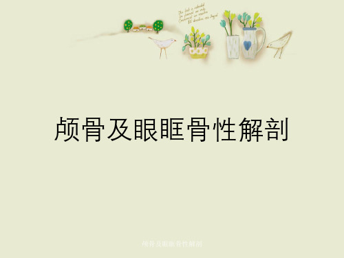 颅骨及眼眶骨性解剖