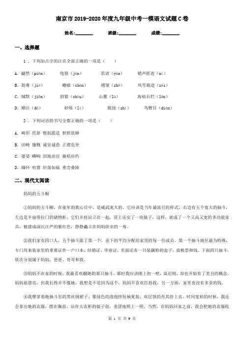 南京市2019-2020年度九年级中考一模语文试题C卷