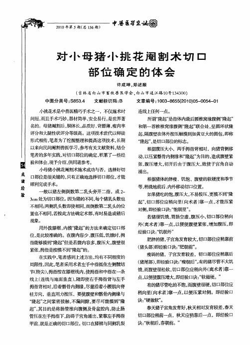 对小母猪小挑花阉割术切口部位确定的体会