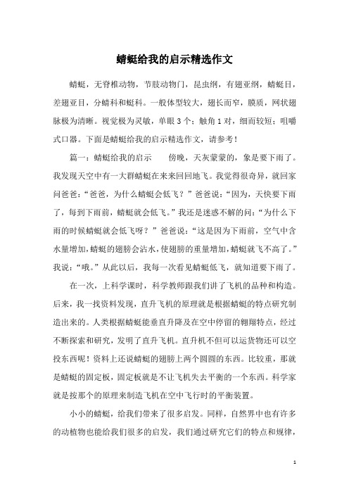 蜻蜓给我的启示精选作文