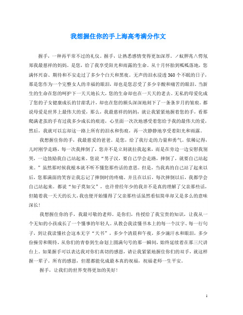 我想握住你的手上海高考满分作文