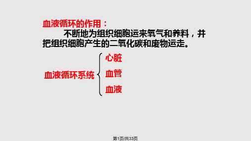 七年级生物人体内的物质运输PPT课件