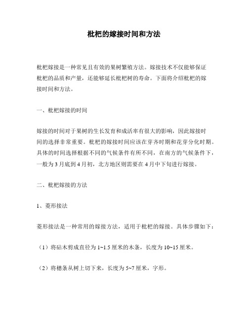 枇杷的嫁接时间和方法