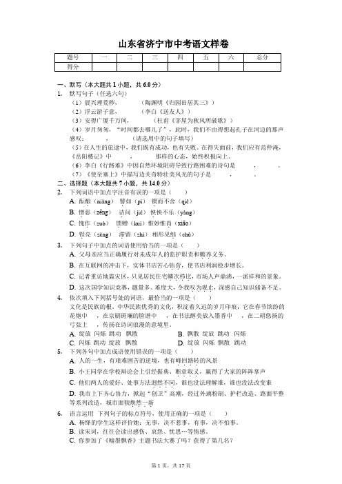 山东专版 济宁市中考语文样卷 附答案