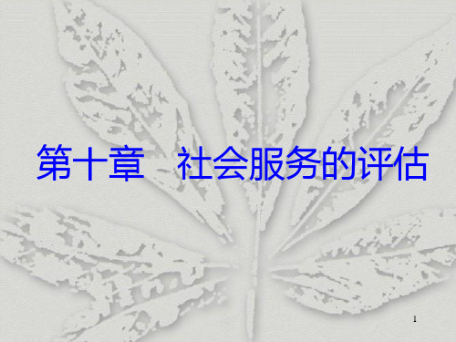 第十章--社会服务的评估 PPT课件