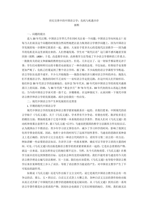 世纪交替中的中国语言学：危机与机遇并存