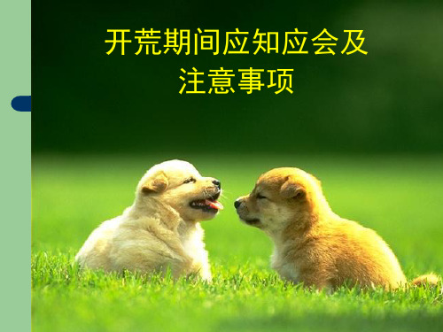 开荒期间应知及注意事项